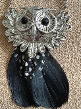 Silver Owl Pendant Necklace with Black Feather earrings Set